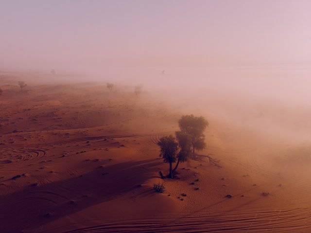 Representative photo of attractions in the UAE, not Warner Bros. Plaza