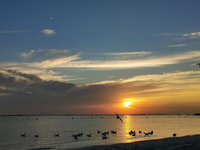 Representative photo of beaches in the UAE, not Al Zeina Beach