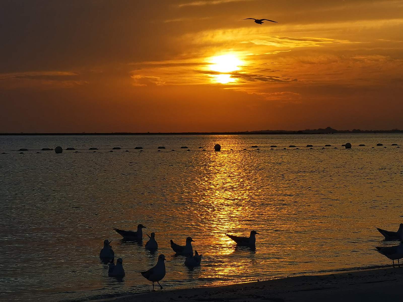Representative photo of beaches in the UAE, not Soul Beach