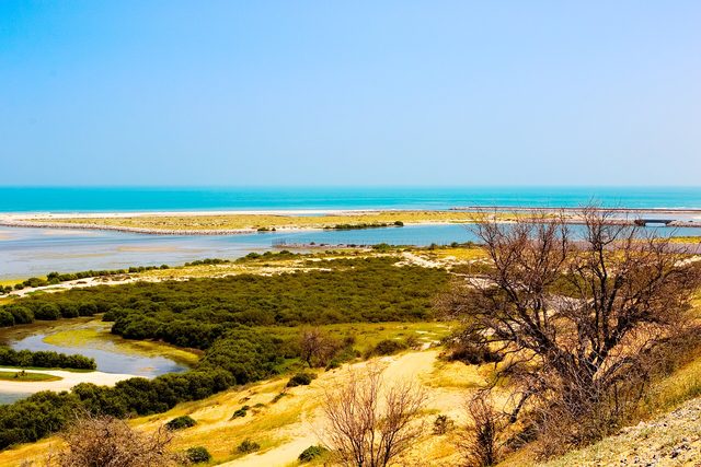 Representative photo of beaches in the UAE, not Musaffah Port