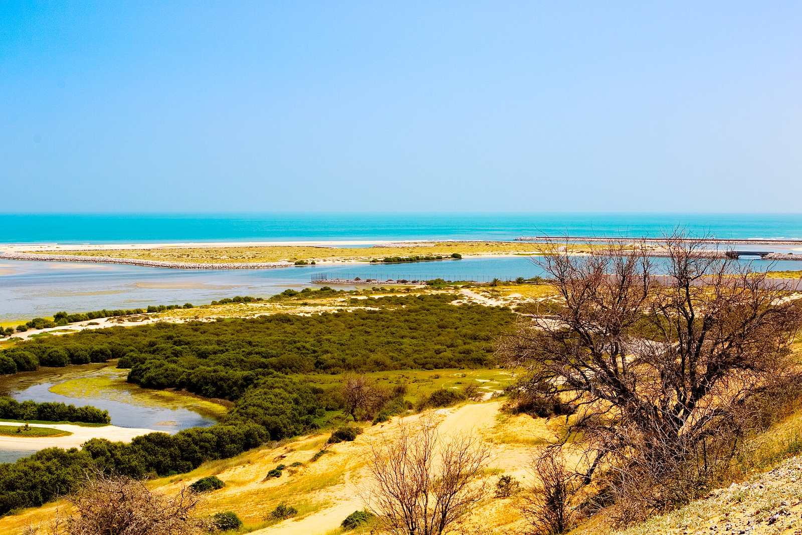 Representative photo of beaches in the UAE, not Mīnā' ‘Ajmān