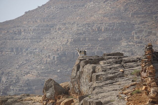 Representative photo of mountains in the UAE, not Al Was‘ah
