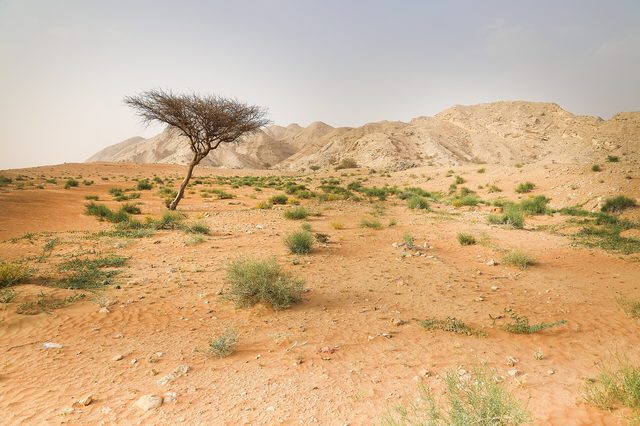 Representative photo of mountains in the UAE, not Sarāmī