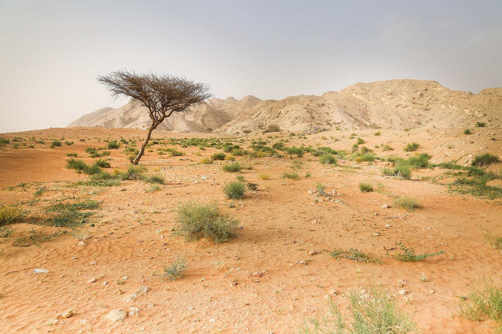 Representative photo of mountains in the UAE, not Al Khurays