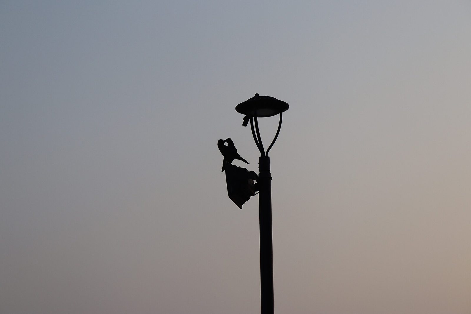 Representative photo of parks & gardens in the UAE, not Fiqa Garden