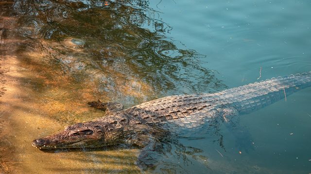 Representative photo of parks & gardens in the UAE, not Al Rahba Park