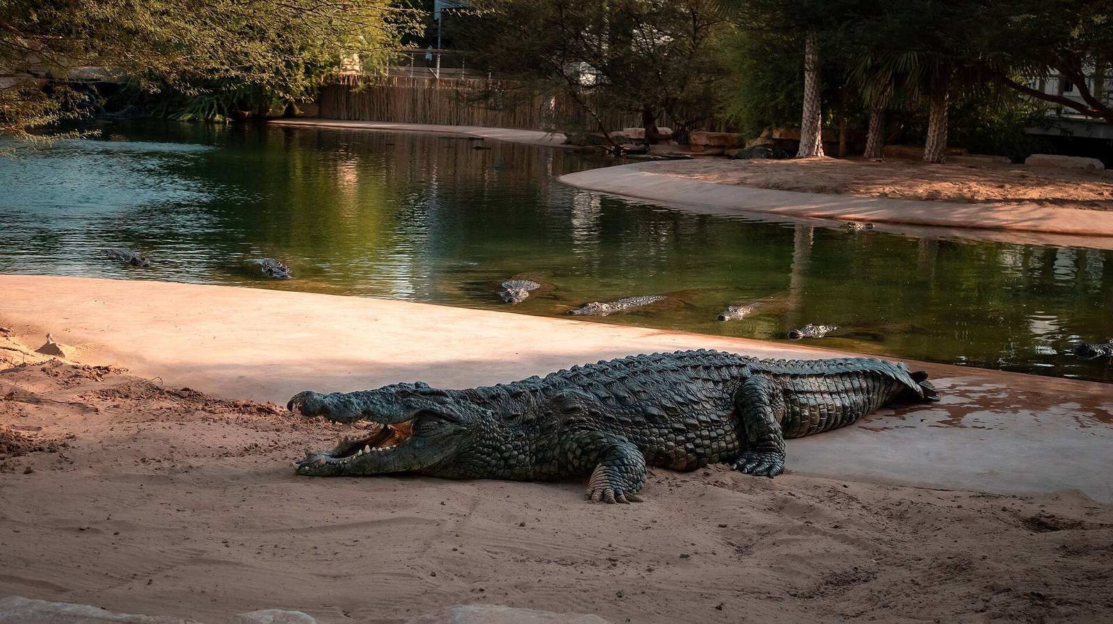 Representative photo of parks & gardens in the UAE, not Long Leaf Park