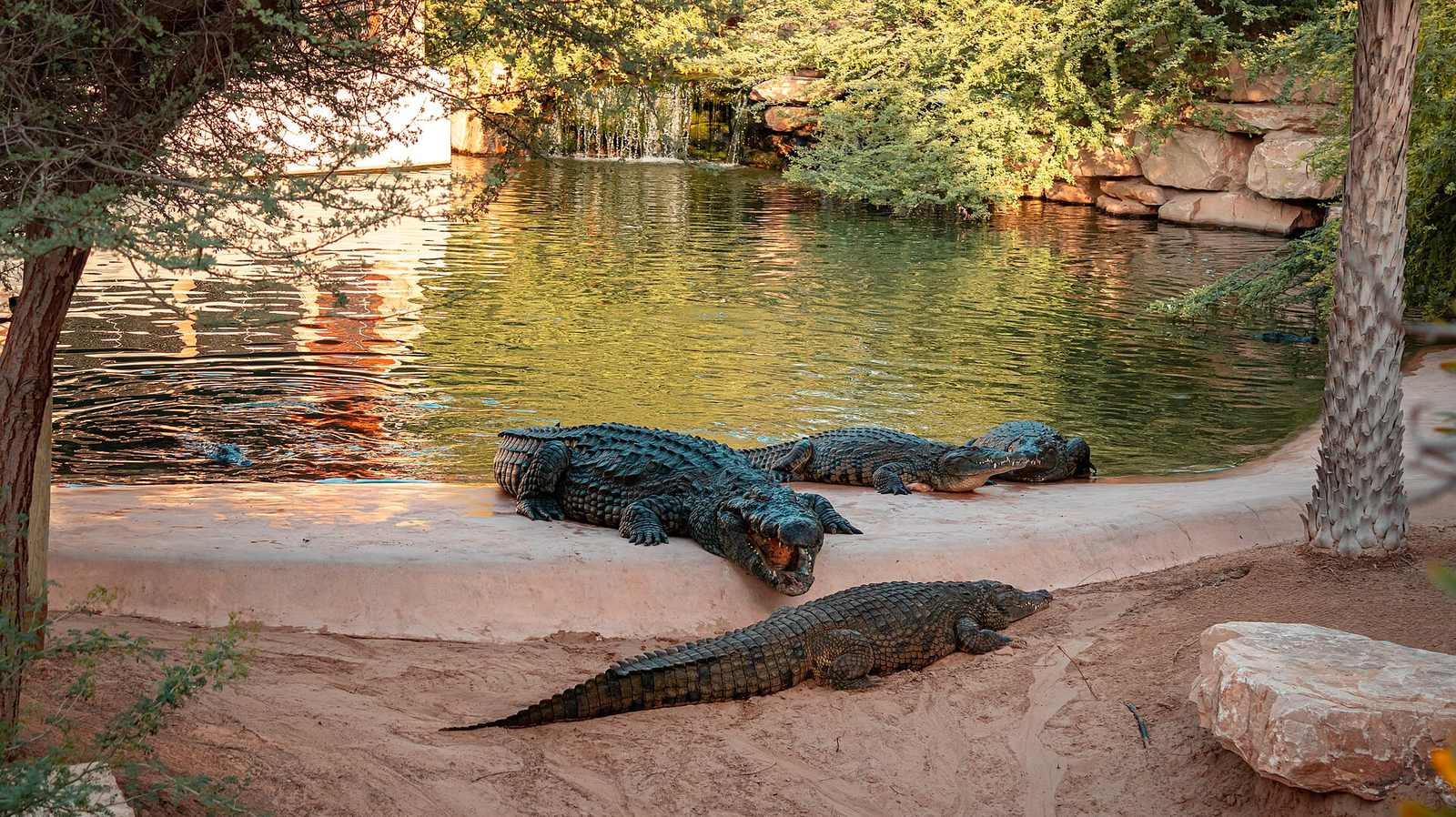Representative photo of parks & gardens in the UAE, not Electra Park