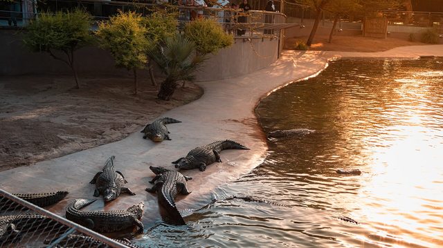 Representative photo of parks & gardens in the UAE, not Ḩadīqat al Khubayrah