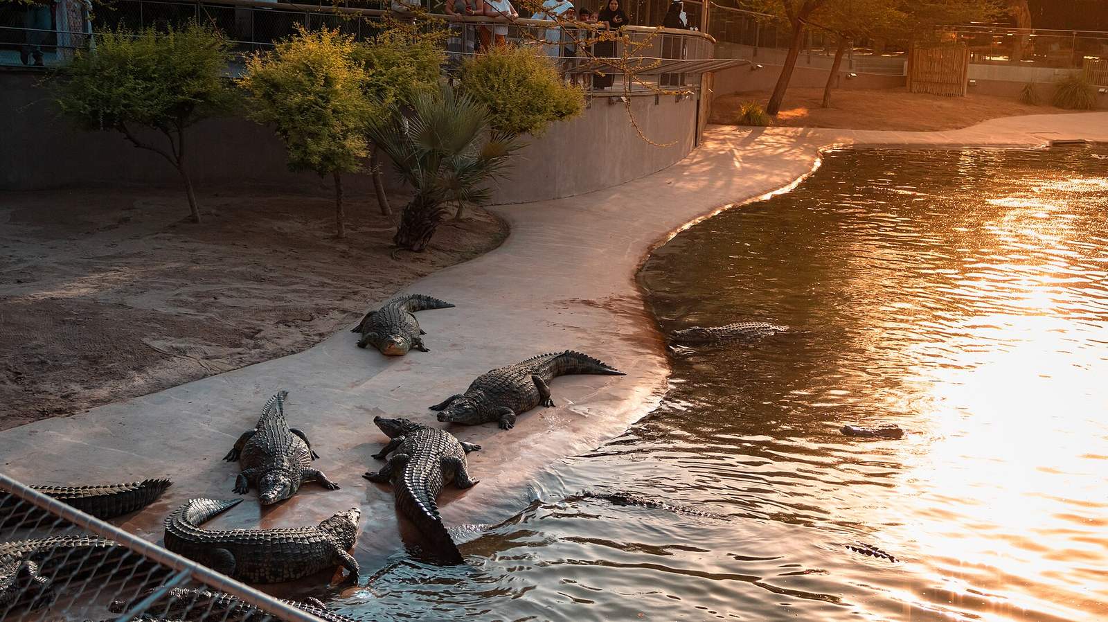 Representative photo of parks & gardens in the UAE, not Bike Park