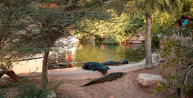 Representative photo of parks & gardens in the UAE, not Ḩadīqat al Mīnā'