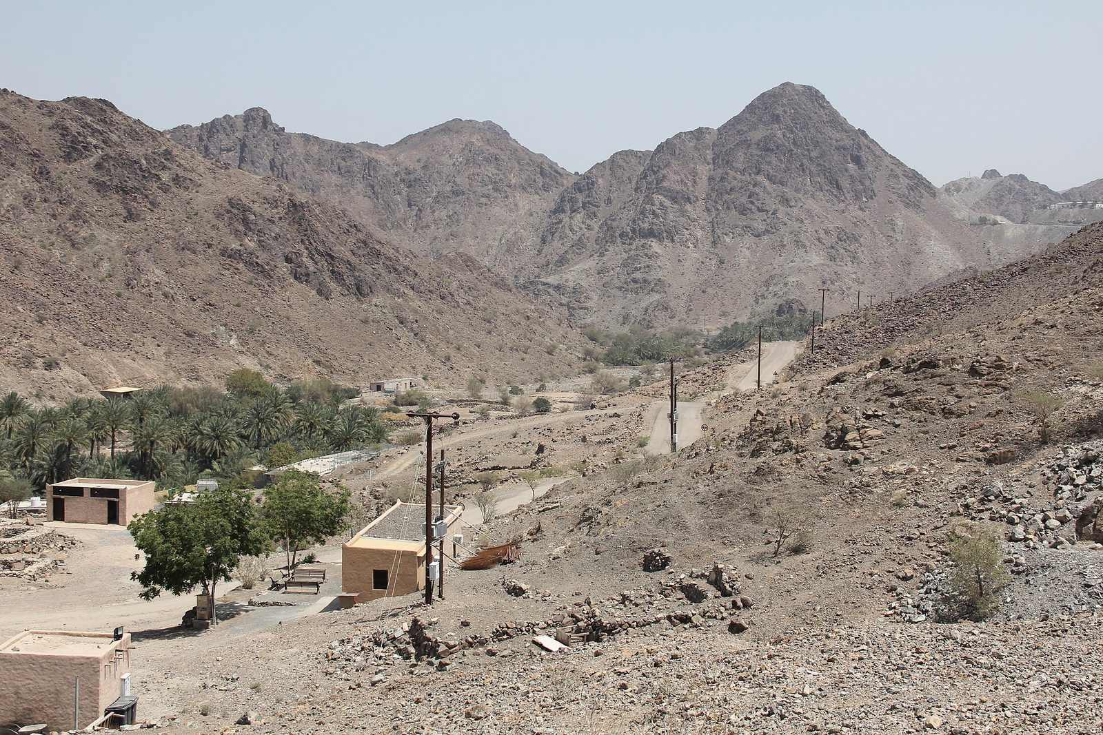 Representative photo of springs & oases in the UAE, not Ţarūfah