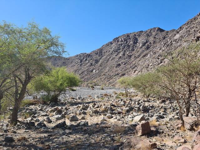 Representative photo of wadis in the UAE, not Wadi Kadrah