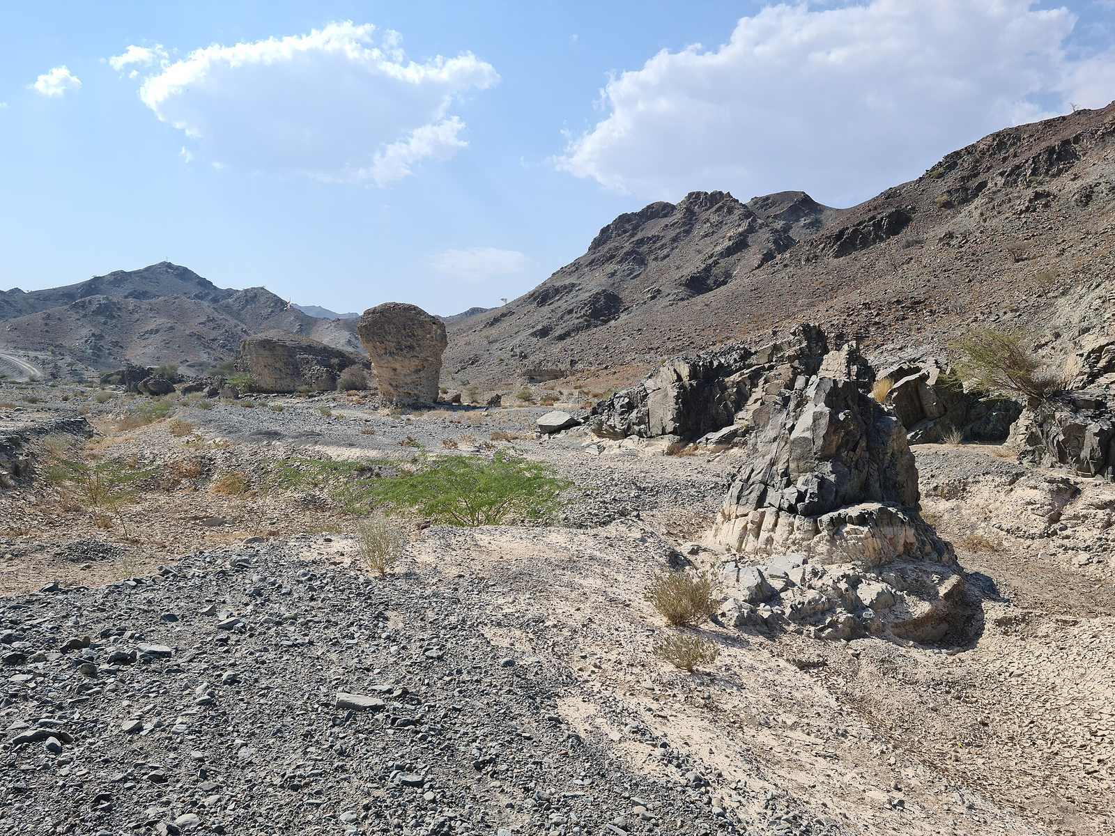 Representative photo of wadis in the UAE, not Wadi Lasal