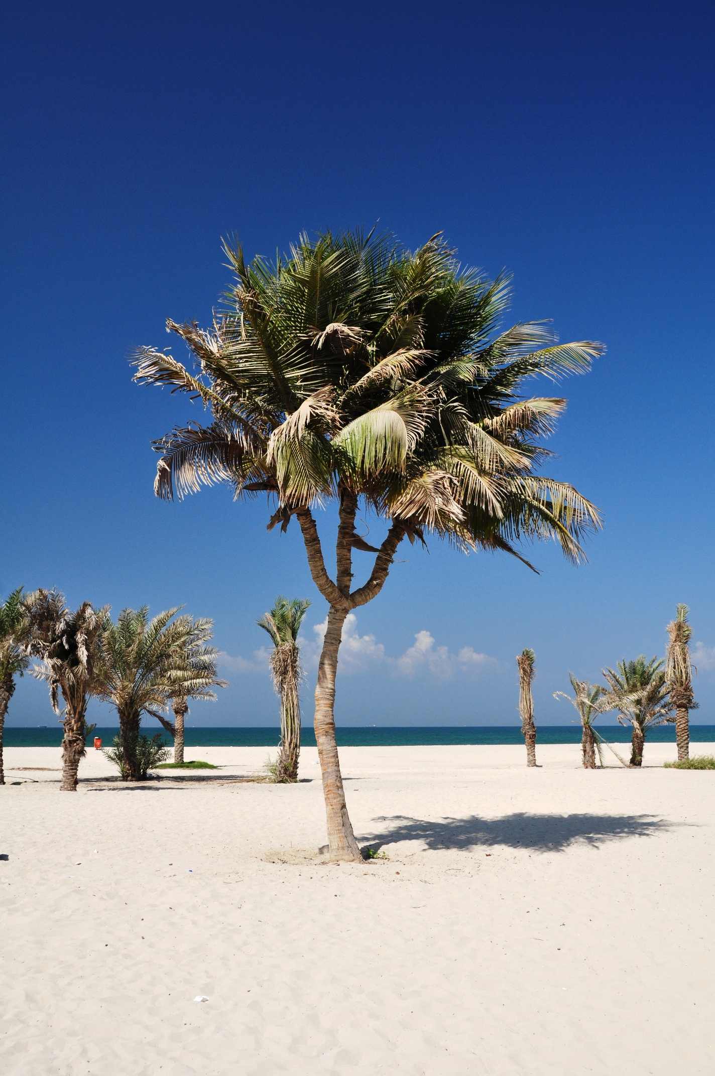 Ajman Beach — Ajman - panoramio.jpg