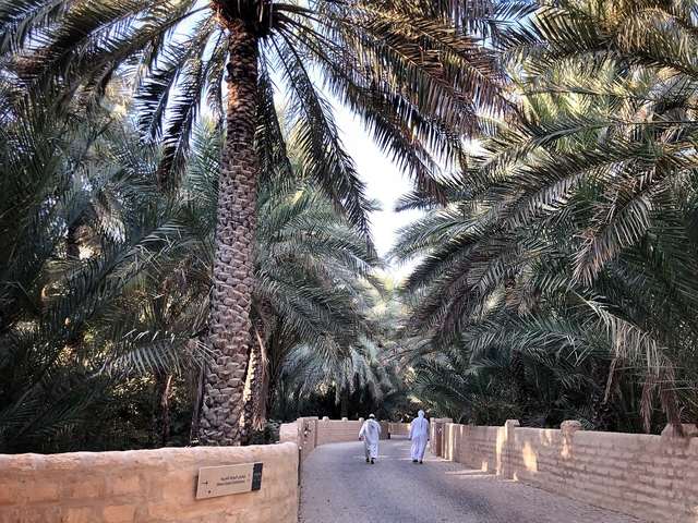 Al ain oasis