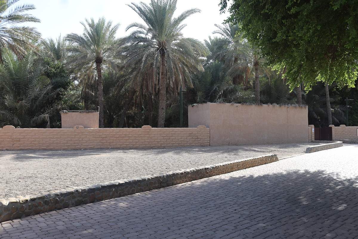 Al ain oasis — Al Ain Oasis - ZI Jony (1).jpg