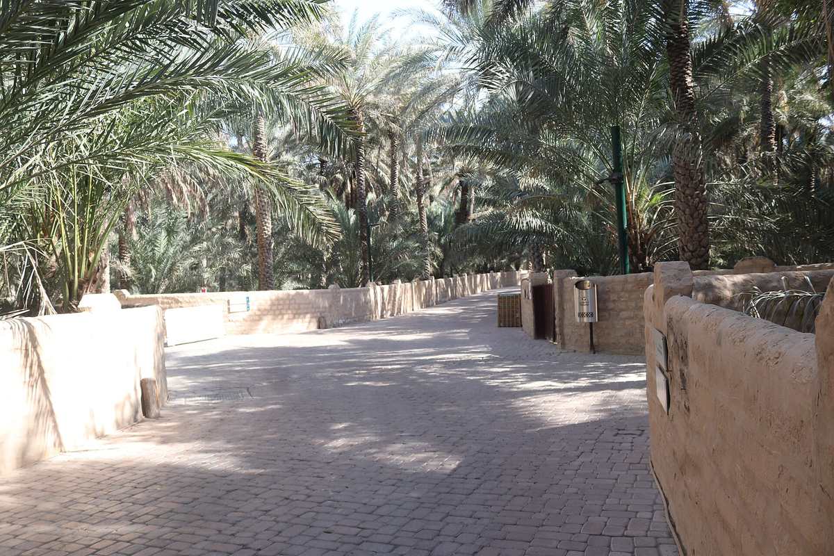 Al ain oasis — Al Ain Oasis - ZI Jony (11).jpg