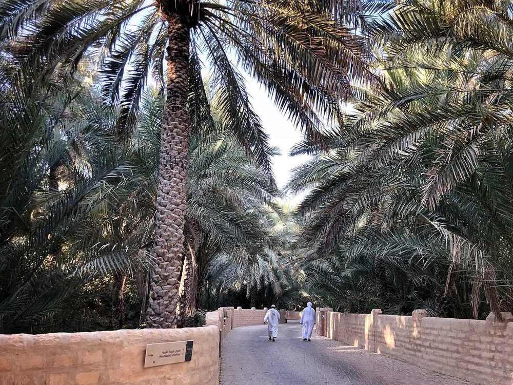Al ain oasis — Al Ain Oasis (45691460554).jpg