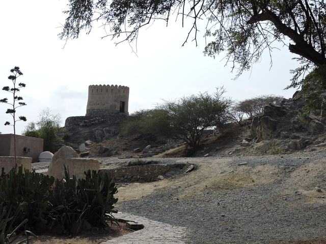 Al Bidya Historic Mosque and Fort