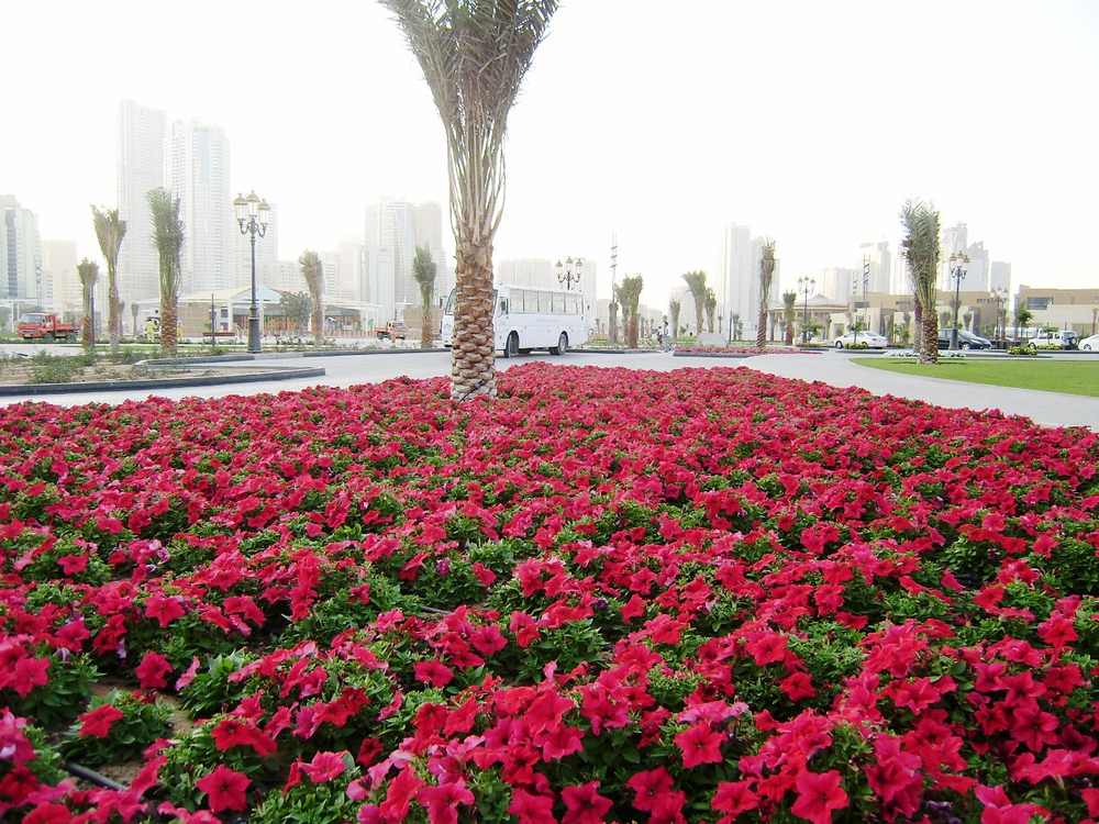 Al Majaz Park — Sharjah City - panoramio (15).jpg