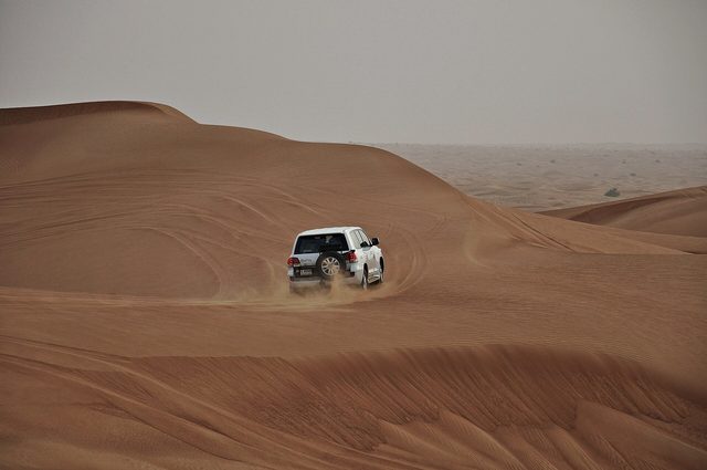 Al Marmoom Desert Conservation Reserve