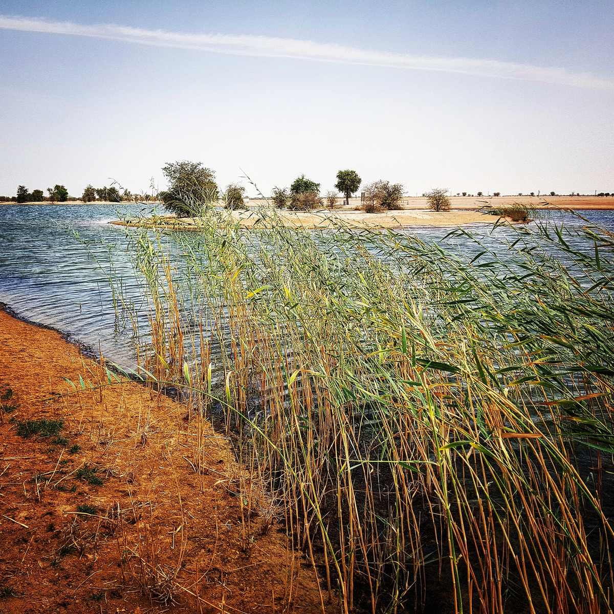 Al Marmoom Desert Conservation Reserve — Al Qudra Lakes at Al Marmoom Desert Conservation Reserve.jpg