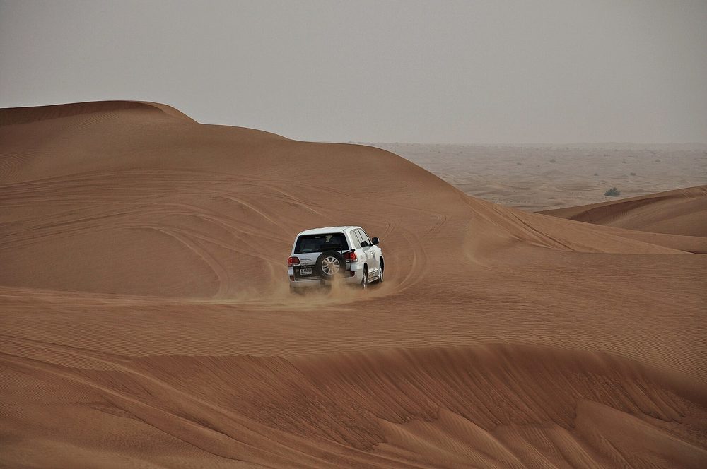 Al Marmoom Desert Conservation Reserve — Desierto de dubai-2011 (4).JPG