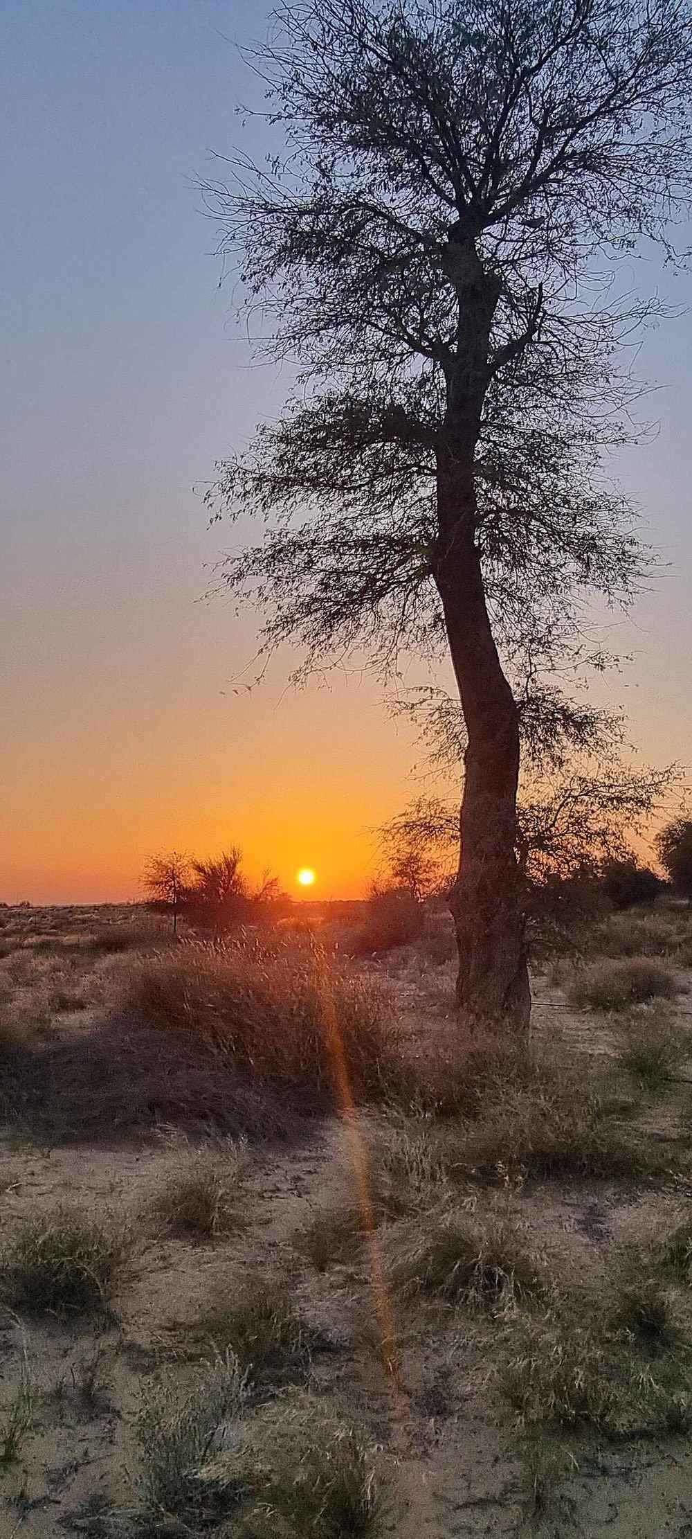 Al Qudra Lakes — Sunset around Qudra lakes.jpg