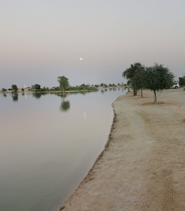 Al Wathba Wetland Reserve