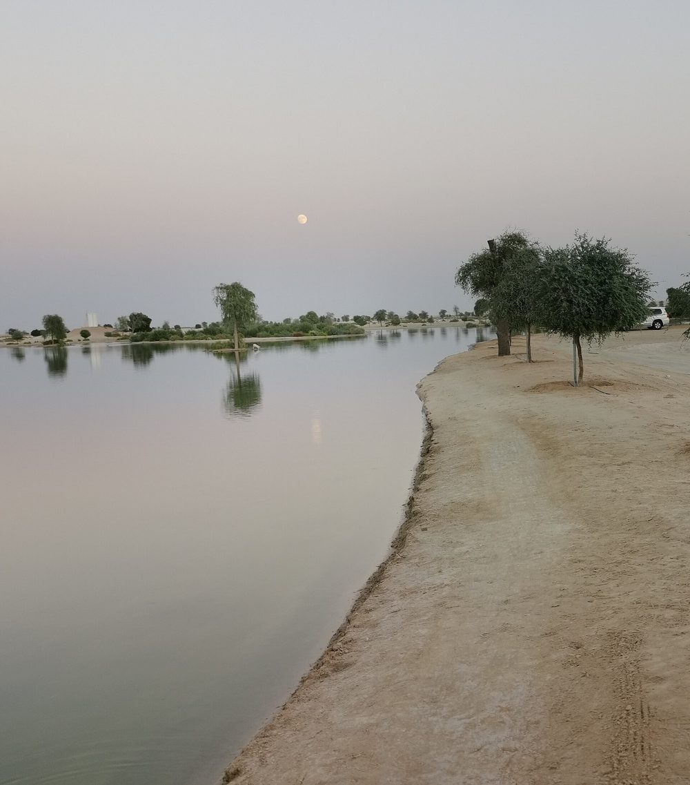 Al Wathba Wetland Reserve — Sunset at al wathba.jpg