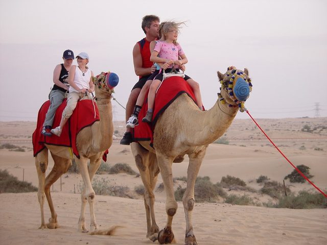 Camel rides