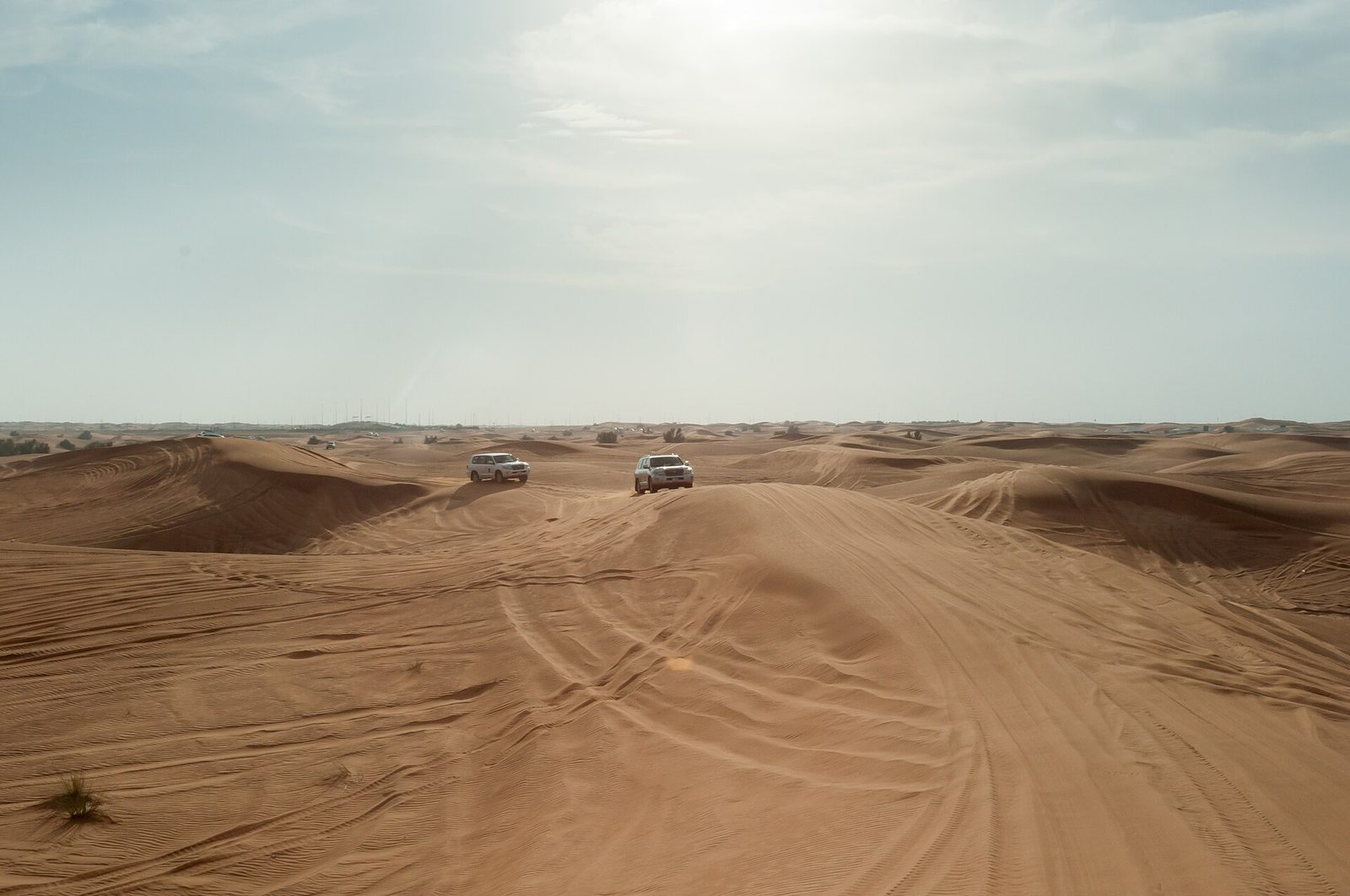 Desert Safari, Oman Route — Desert Safari!.jpg