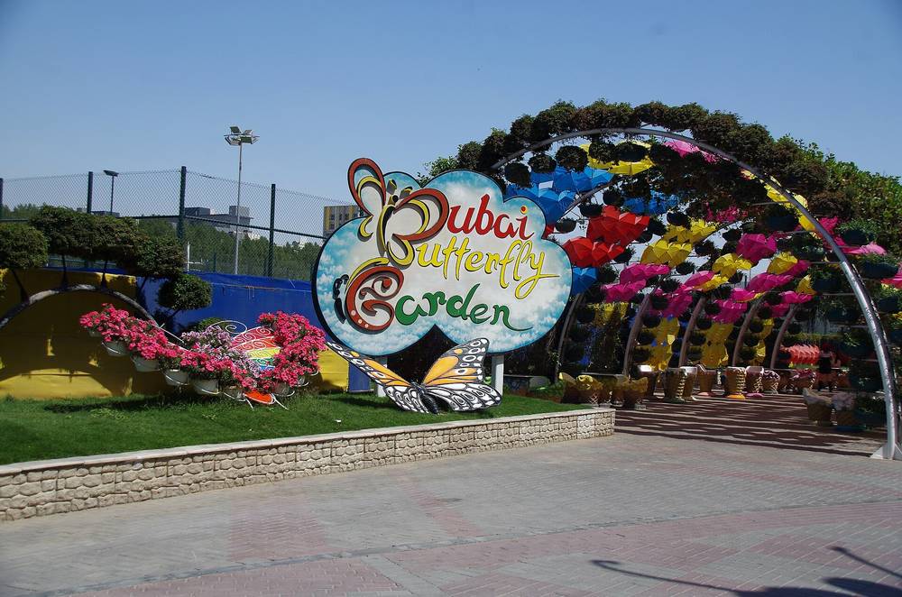 Dubai Butterfly Garden — VAE-dubai-butterfl-01.jpg