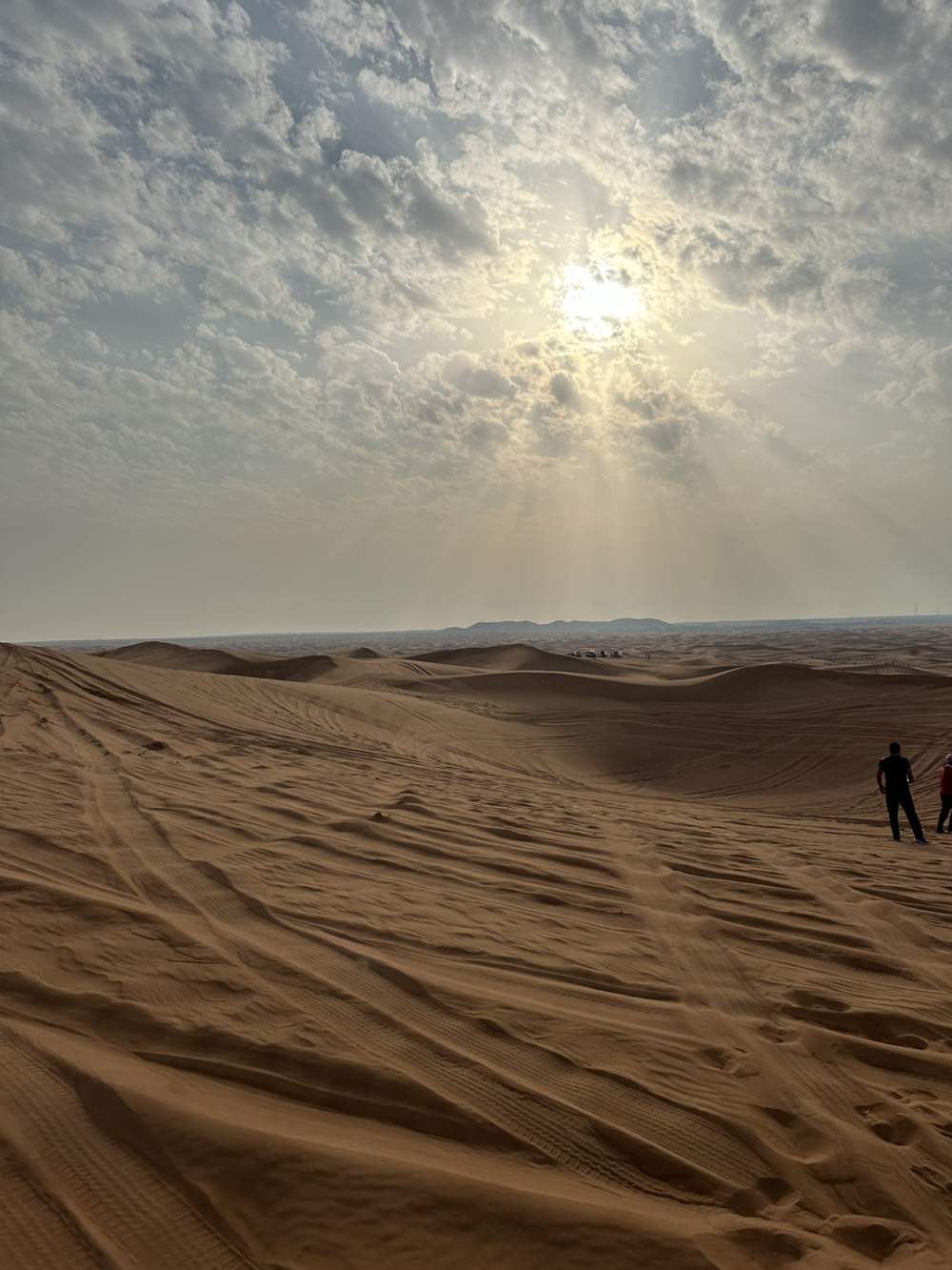 Dubai Desert Conservation Reserve — Dunes in the Dubai Desert Conservation.jpg