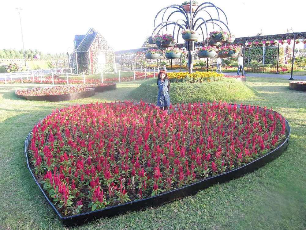 Dubai Miracle Garden — Dubai Miracle Garden - ദുബായ് മിറാക്കിൾ ഗാർഡൻ 04.jpg