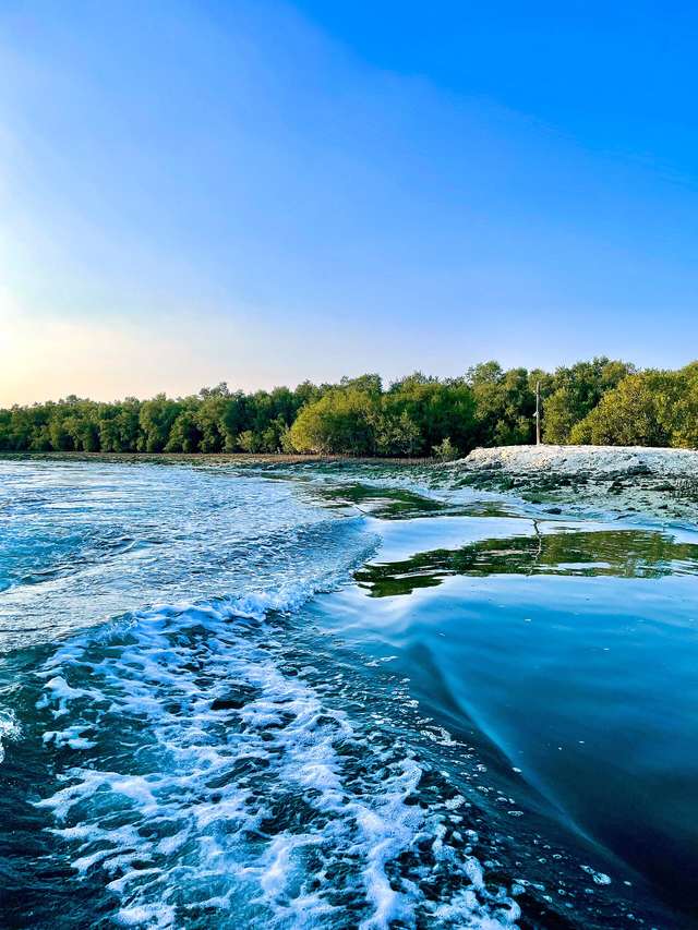 Eastern Mangroves Park
