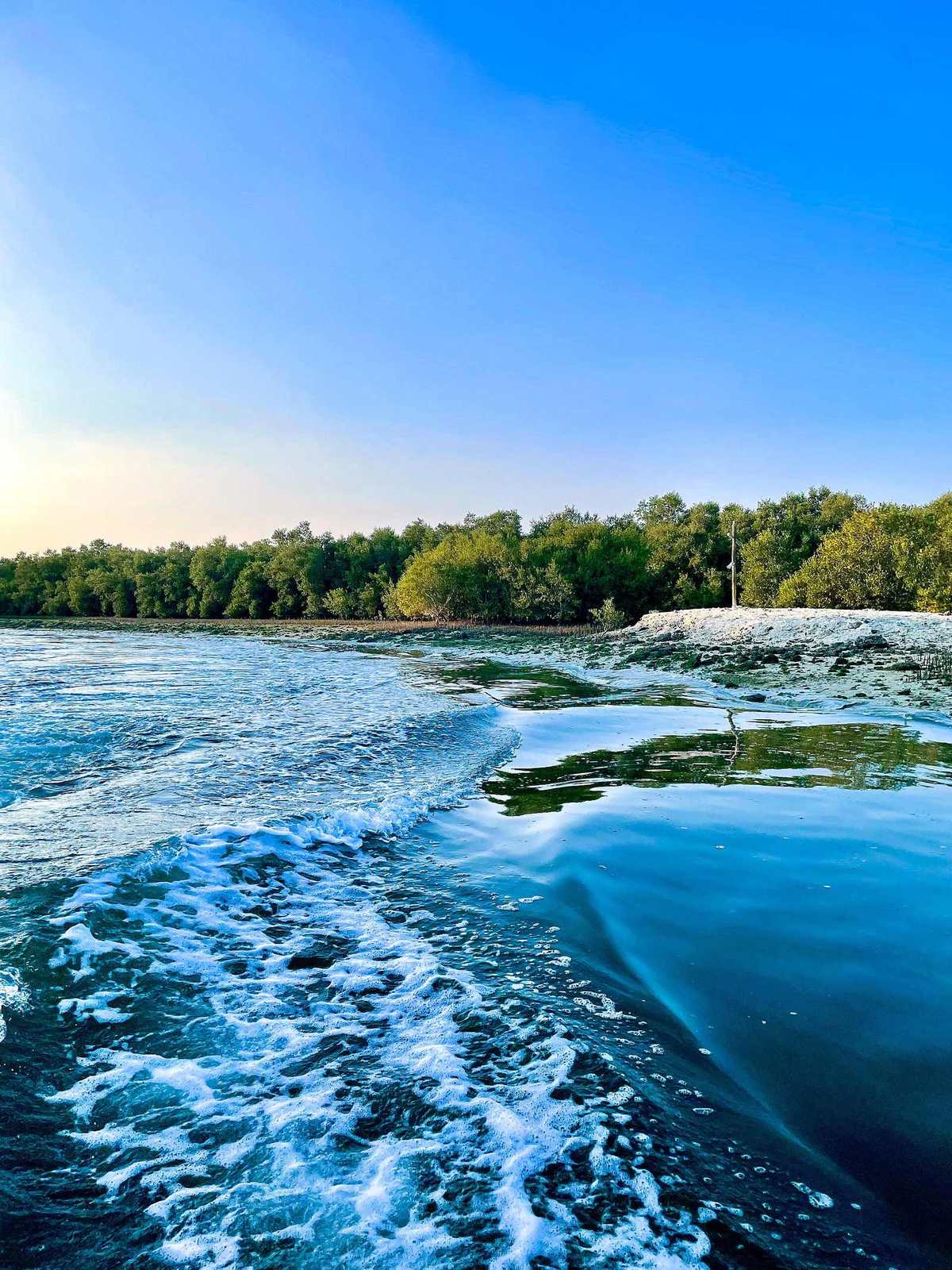 Eastern Mangroves Park — Cruising on the Mangroves.jpg