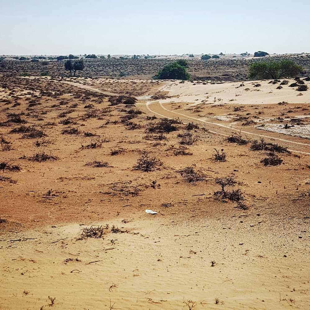 Ed-Dur — The site of Ed-Dur today.jpg