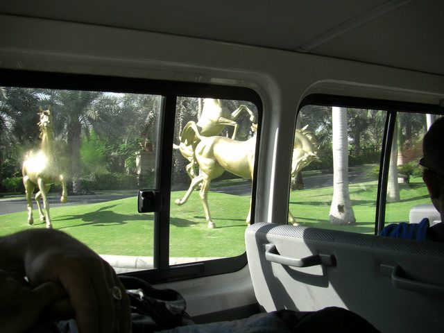Golden Horses