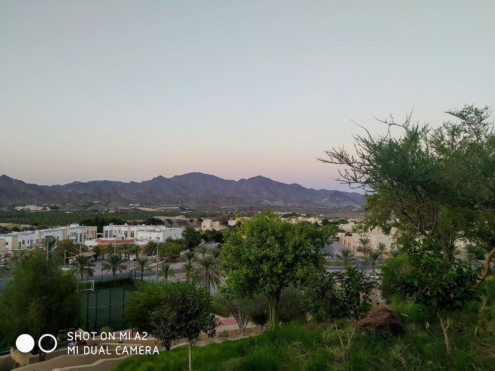 Hatta Hill Park — Go green at Hatta.jpg