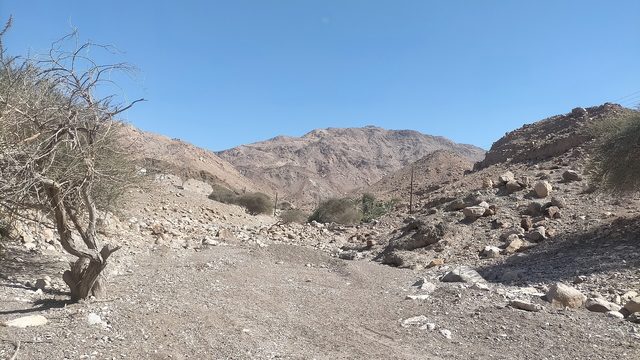 Jabal Al Hamri