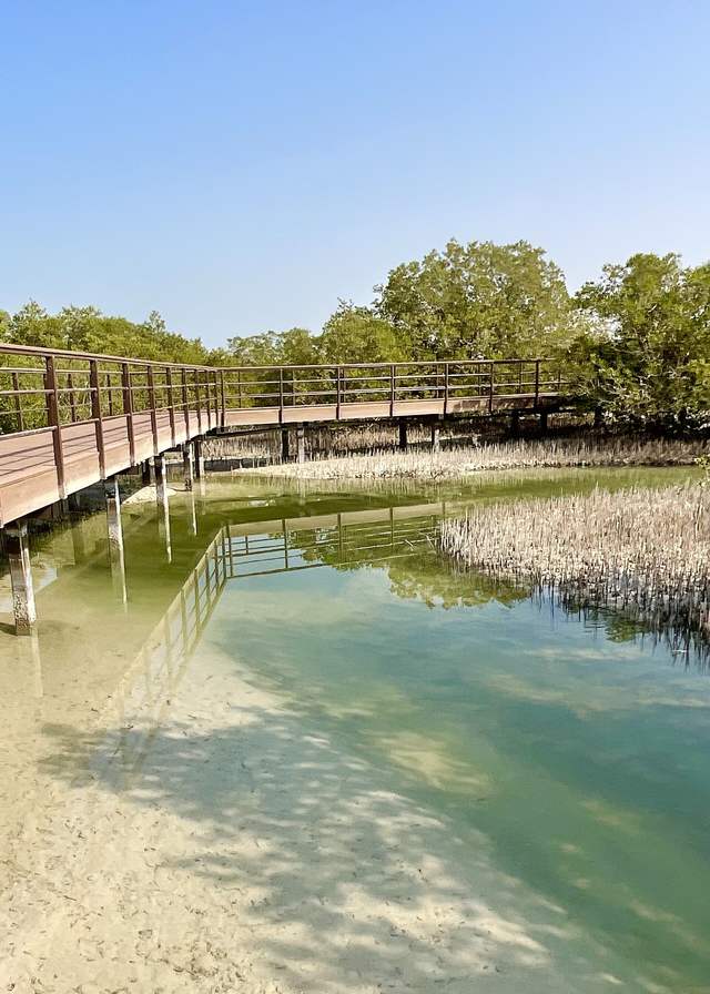 Jubali Mangrove Park