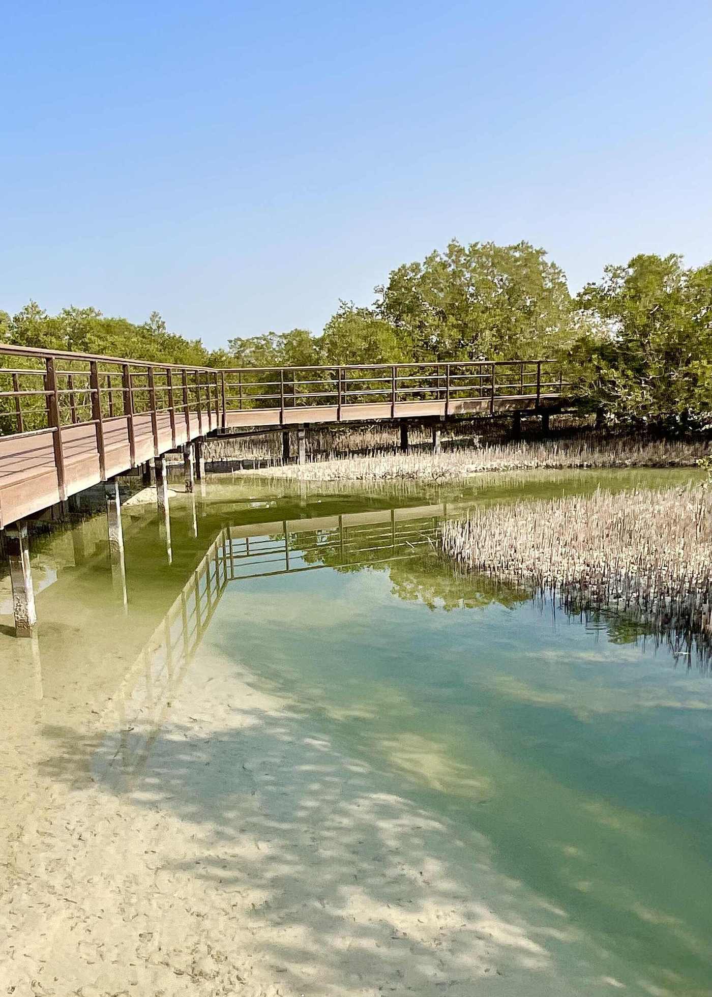 Jubali Mangrove Park — Jubail Mangrove 02.jpg