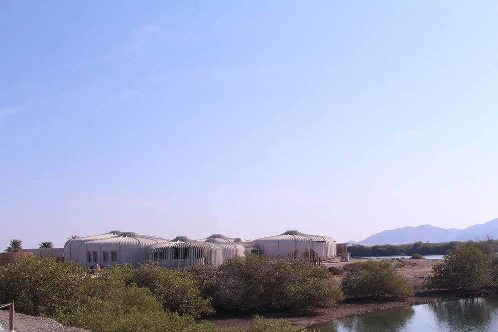 Kalba Mangrove reserve — SiteKalba.jpg