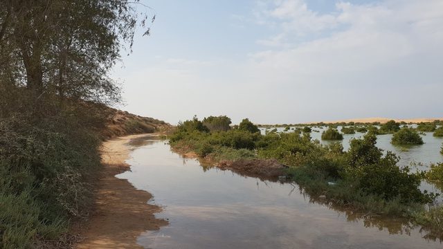 Khawr al Baydah