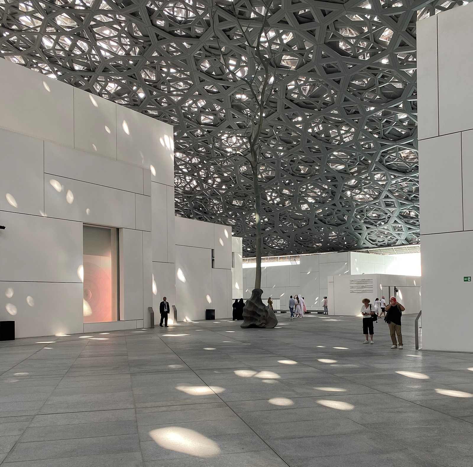 Louvre Museum Abu Dhabi — LouvreAD tree.jpg