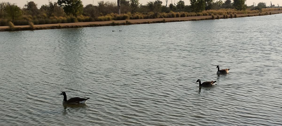 Love Lake — Love lake Dubai 3.jpg