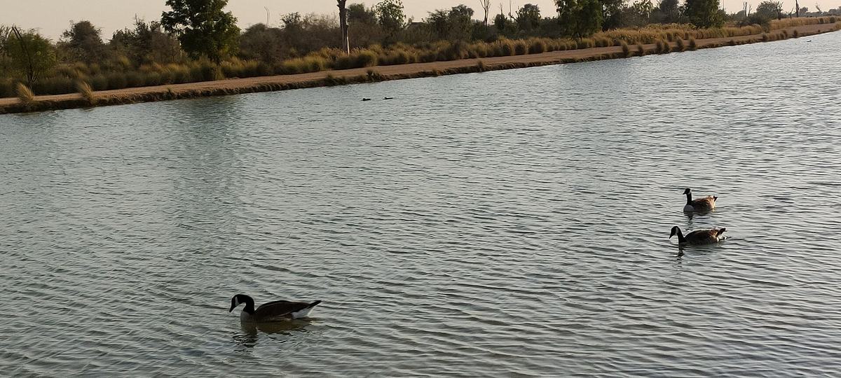 Love Lake — Love lake Dubai 4.jpg