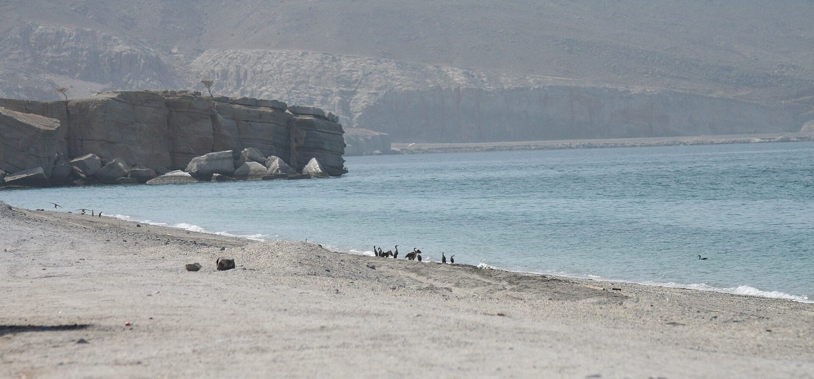 Musandam Peninsula — Birds-beach.jpg